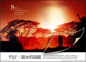 地產(chǎn)廣告設(shè)計(jì) 視覺(jué)驅(qū)動(dòng)價(jià)值的藝術(shù)與實(shí)踐